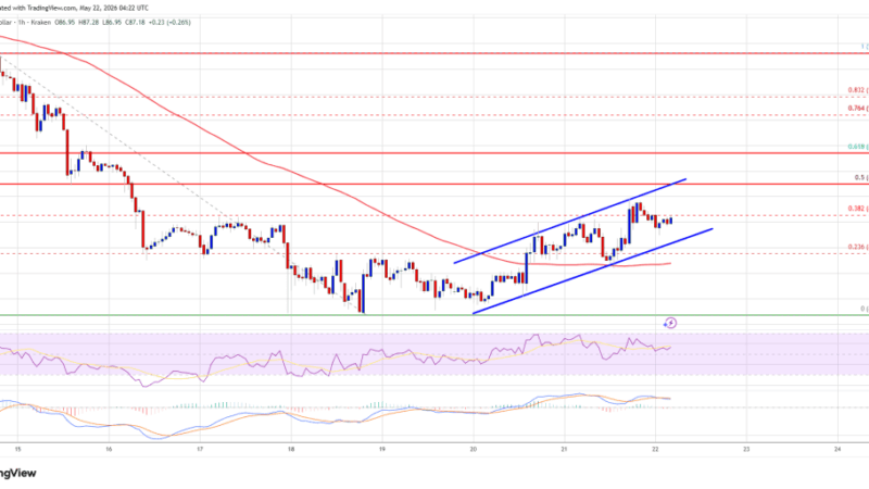 Solana (SOL) Rebound Faces Major Test Near Key Resistance Zone
