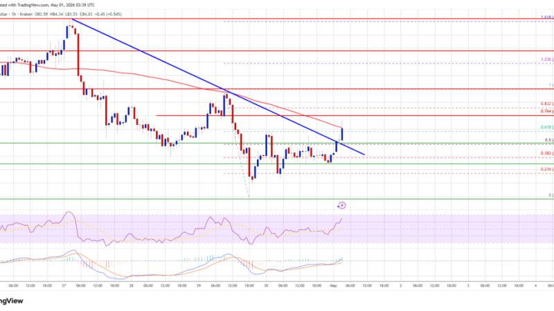 Solana (SOL) Rebounds Again, Buyers Target Next Upside Leg