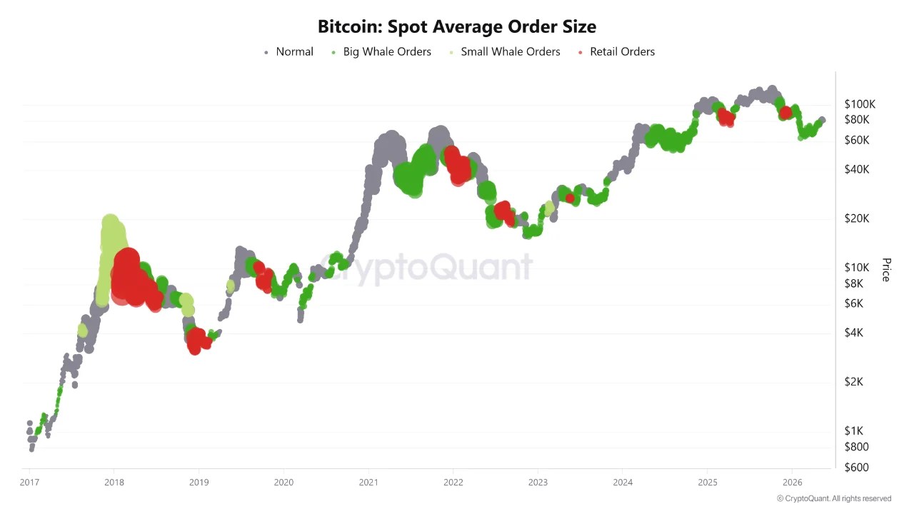 The 2022 Playbook Says Bitcoin Fails Here. On-Chain Data Says This Cycle Is Different