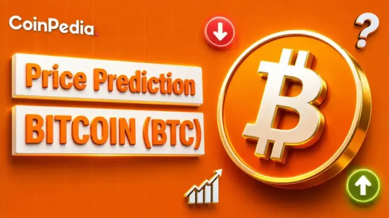 Why Did Bitcoin Price Fall Today?