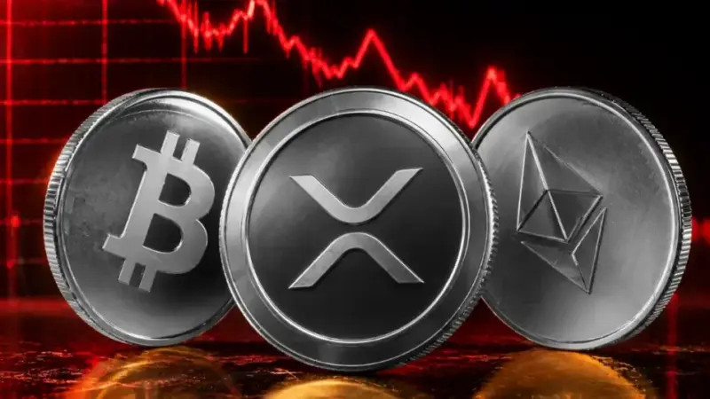 Why Did the Crypto Market Crash Today?