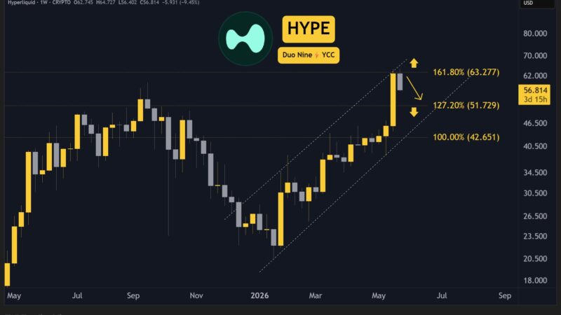Why is the Hyperliquid (HYPE) Price Down Today?