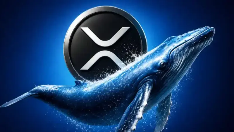 Why Is XRP Price Up Today: Whale Buying, ETF Demand Hint at Rally to $2 Next