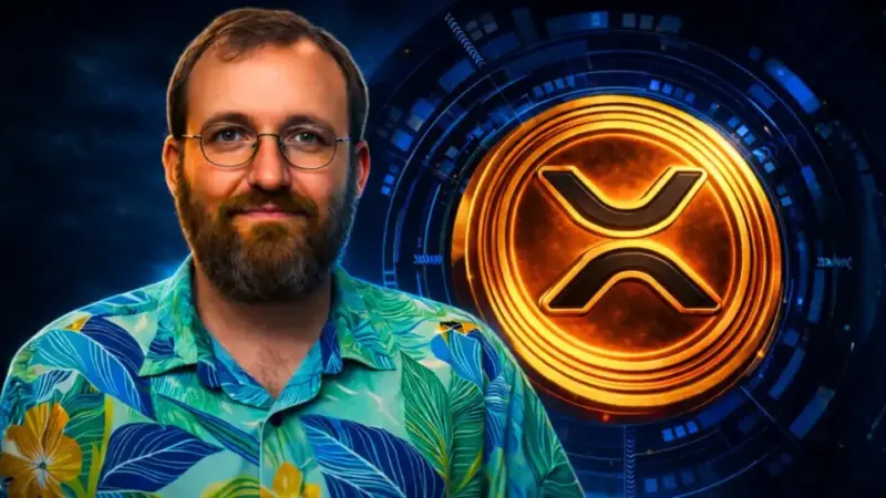 ‘XRP Has Clarity’: Brad Garlinghouse Says He Has Chosen To Ignore Hoskinson’s Stuff