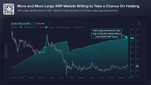 XRP Holders Rise Rapidly To Hit A New All-Time High, Will Price Follow?