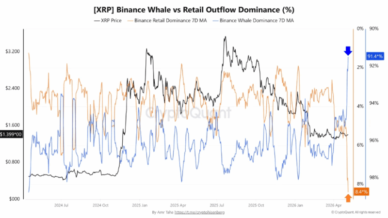 XRP Market Now Controlled By Whales? Dominance Reaches 91% On Binance