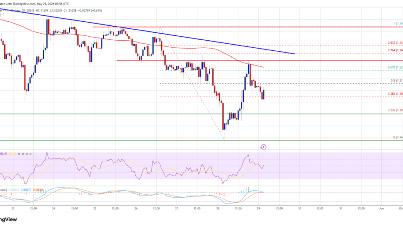 XRP Price Bounce Looks Fragile, Fresh Decline Risks Begin Rising