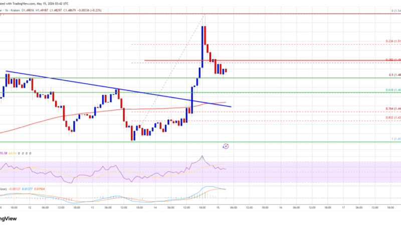 XRP Price Dominates Crypto Market As Bitcoin And Ethereum Lag Behind