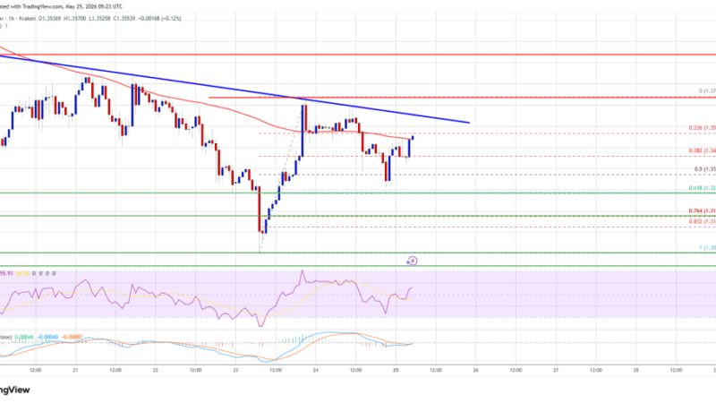 XRP Price Maintains Key Floor, Market Awaits Next Major Move