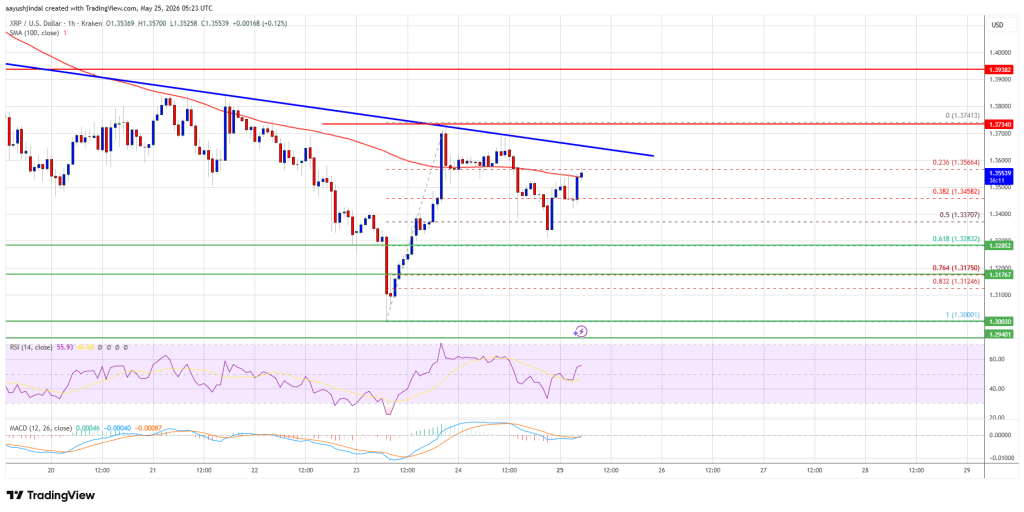XRP Price Maintains Key Floor, Market Awaits Next Major Move