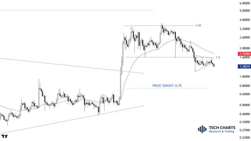 XRP Price Risks Fall To $0.75 As Top Chartist Warns Of Bearish Setup