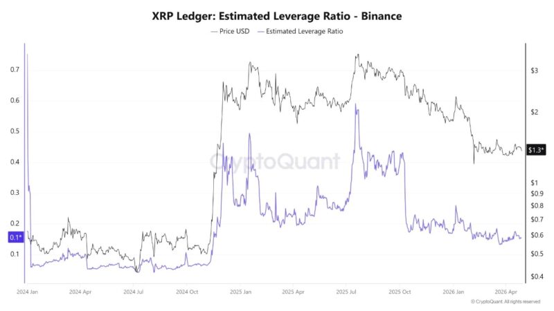 XRP’s Leverage Has Been Flushed Out, But Price Is Still Holding: Find Out What Follows That Setup