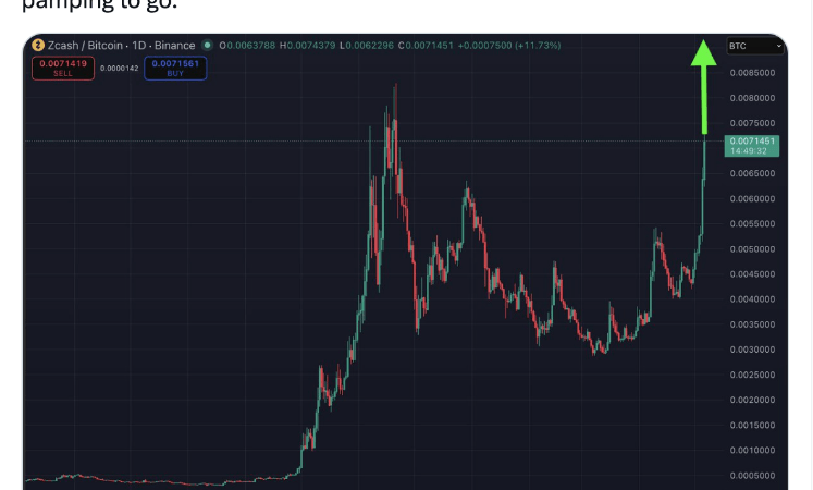 Zcash Soars 88% In 30 Days: Is ZEC The Stealth Winner Of This Crypto Cycle?