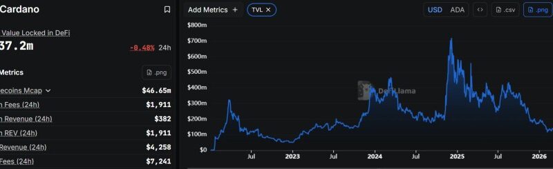 Zcash (ZEC) Rockets 1,200%—Expert Says ZEC Could Soon Outgrow Cardano (ADA)