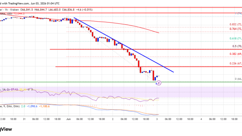 Bitcoin Price In Freefall As Panic Sweeps Through The Market