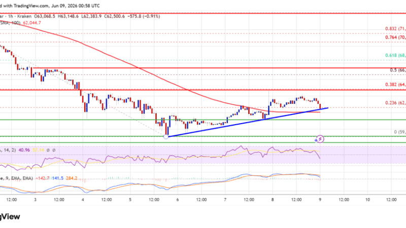 Bitcoin Price Stumbles Near $64K—Was The Rebound Just A Trap?