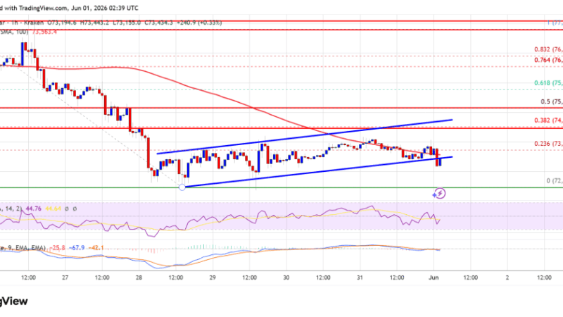 Bitcoin Price Teeters Near The Edge As Bears Eye Another Breakdown