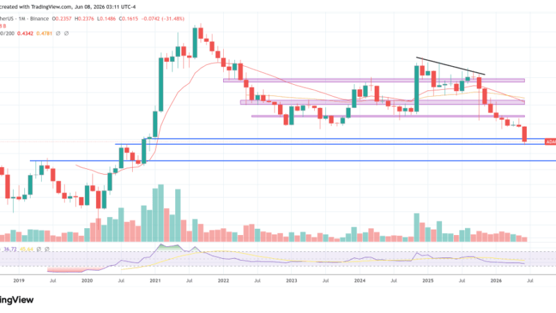 Cardano Price Crash Exposes ADA’s Deeper Problem, Says Longtime Bull