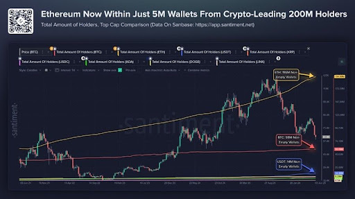 Ethereum Nears 200 Million Non-Empty Wallets Despite Market Uncertainty