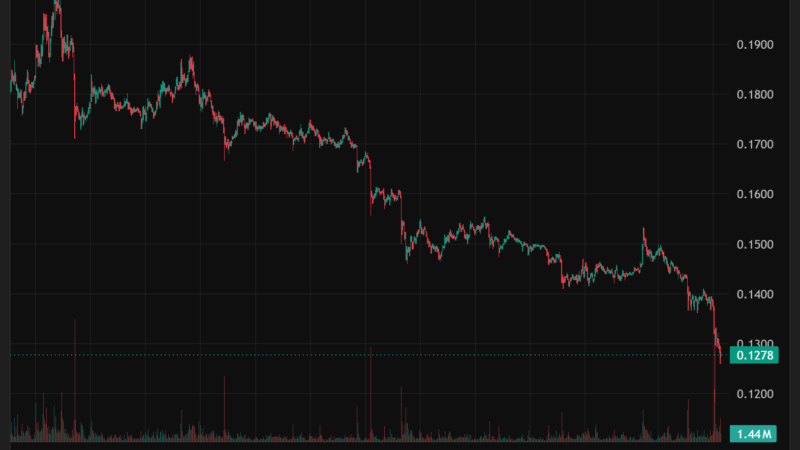 Pi Network’s PI Hits Rock Bottom: Quick Rebound or Another Collapse Next?