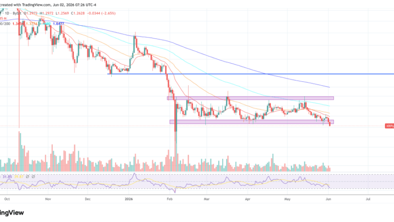 Pundit Reveals Why RLUSD Will Make XRP More Valuable, Not Less