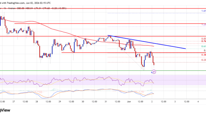 Solana (SOL) Risks Slipping Deeper Into The Red As Momentum Fades