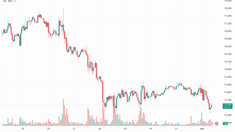 These Altcoins Explode by Double Digits as Bitcoin Price Dips Below $72,000: Market Watch