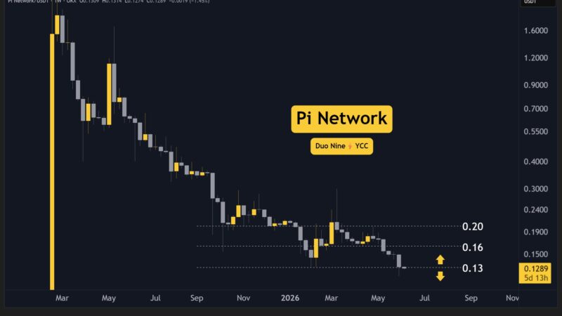 Why is the Pi Network (PI) Price Down This Week? (June 9)