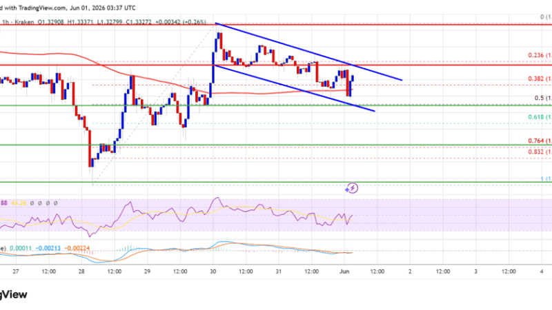 XRP Price Loses Ground As Bearish Pressure Quietly Builds