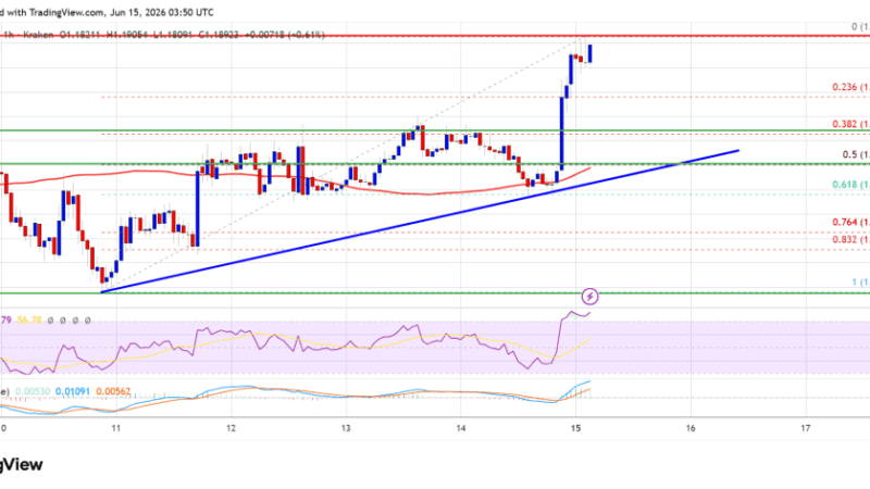 XRP Price Next Chapter Could Be A Strong Move To The Upside