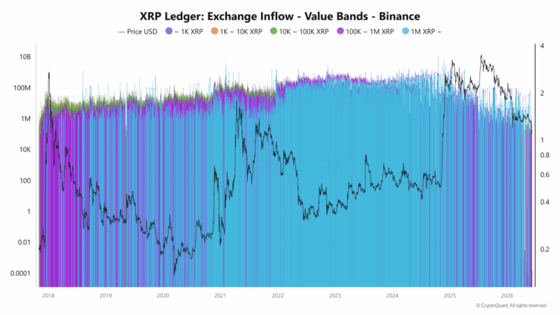 XRP Sell-Off Driven By Liquidations, Not Whale Dumping: On-Chain Data