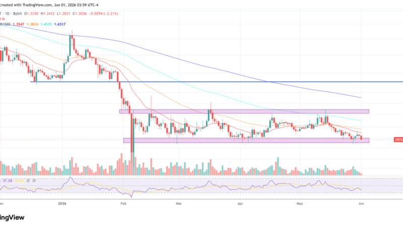 XRP To $1,000? Expert Lays Out Macro Domino Theory