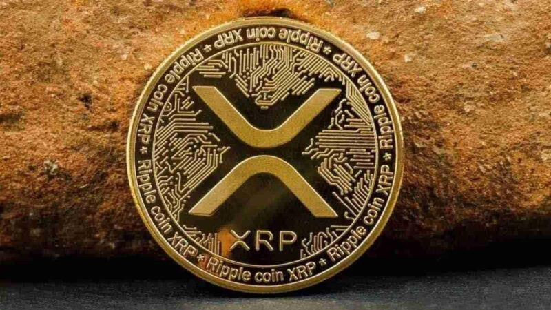 XRP Treasury Trend Gains Momentum as Anodos Backs Cross-Chain Strategy Since 2023